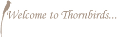 Thornbirds conference and wedding centre